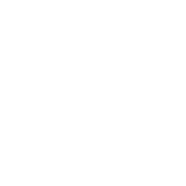 Debitssecuredbyafa